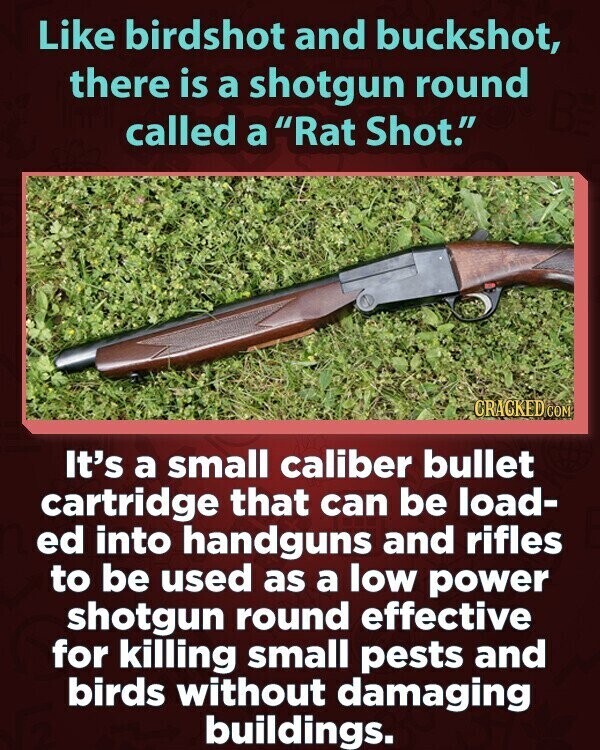 Like birdshot and buckshot, there is a shotgun round called a Rat Shot. CRACKED COM It's a small caliber bullet cartridge that can be load- ed into handguns and rifles to be used as a low power shotgun round effective for killing small pests and birds without damaging buildings.