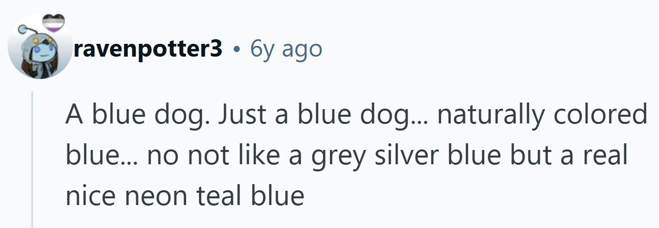 ravenpotter3 . 6y ago A blue dog. Just a blue dog... naturally colored blue... no not like a grey silver blue but a real nice neon teal blue