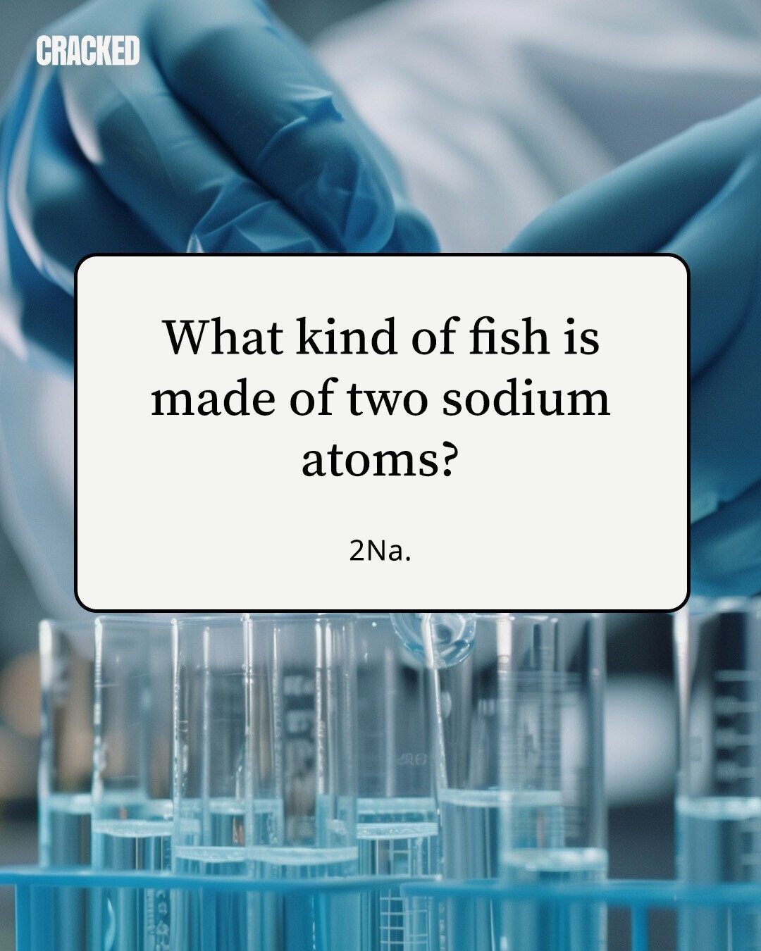 CRACKED What kind of fish is made of two sodium atoms? 2Na. 