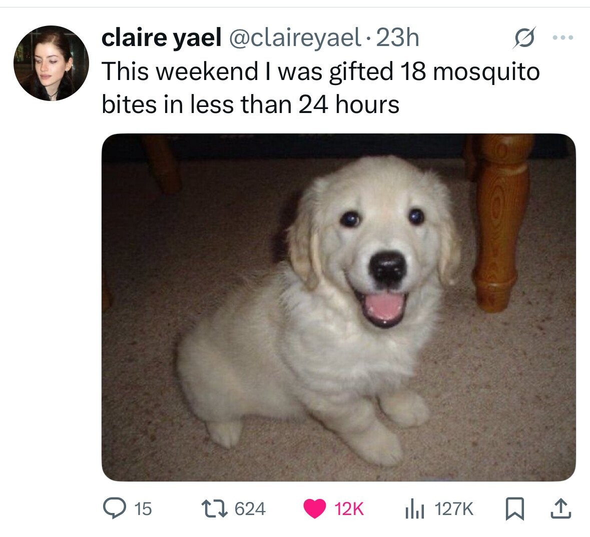 claire yael @claireyael 23h S ... This weekend I was gifted 18 mosquito bites in less than 24 hours 15 12K 624 127K 