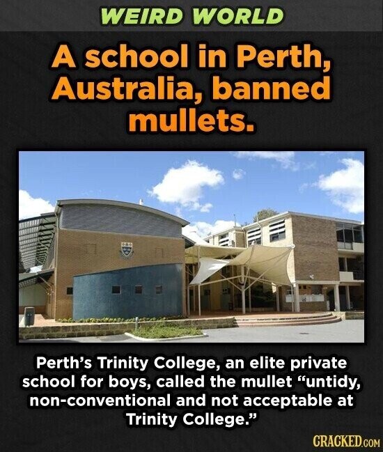 WEIRD WORLD A school in Perth, Australia, banned mullets. Perth's Trinity College, an elite private school for boys, called the mullet untidy, non-conventional and not acceptable at Trinity College. CRACKED.COM