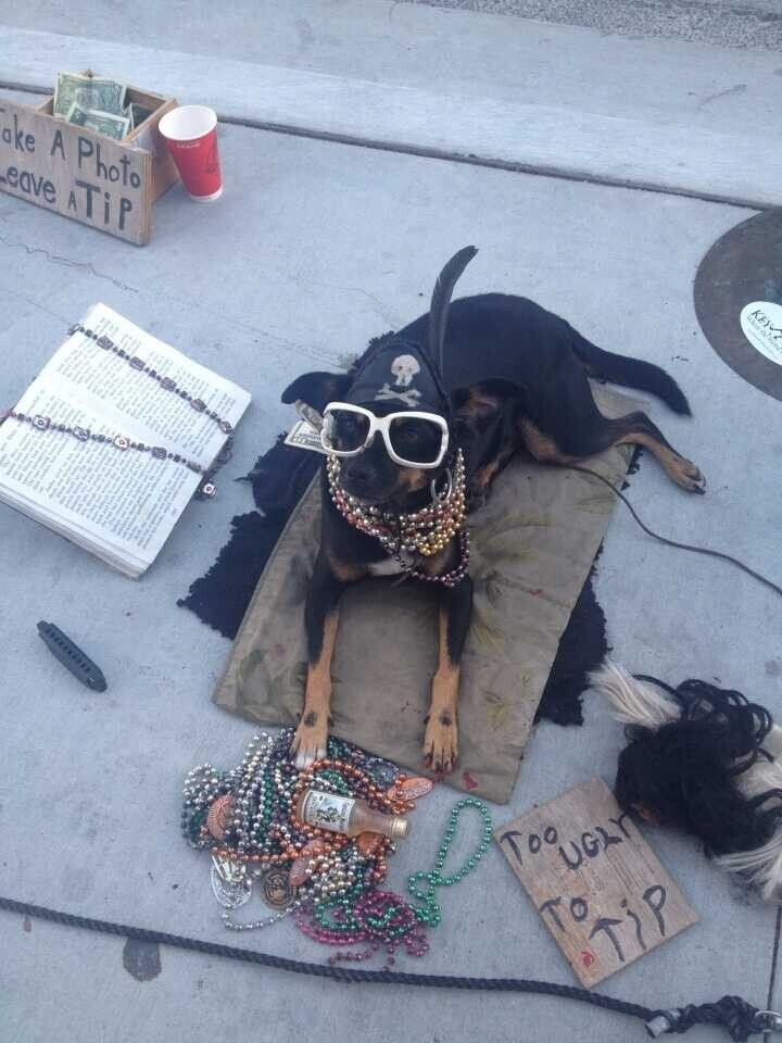 Photos of Florida and Its People On Their Own Planet