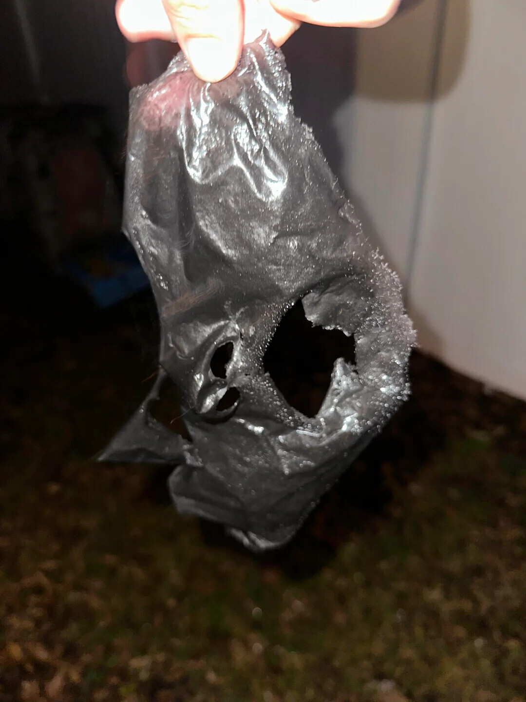 Uncomfortable Pics of Things We'd Rather Not Run Into