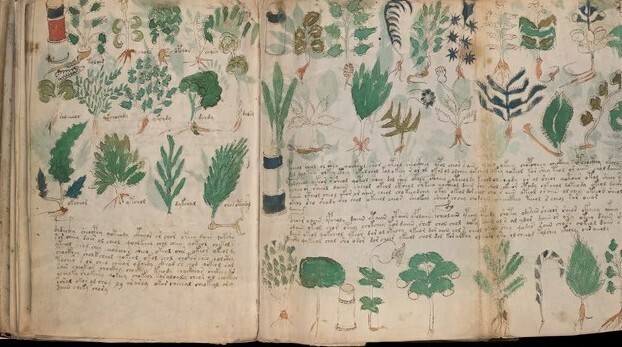 20 People Who Lost Vast Historical Treasures Forever