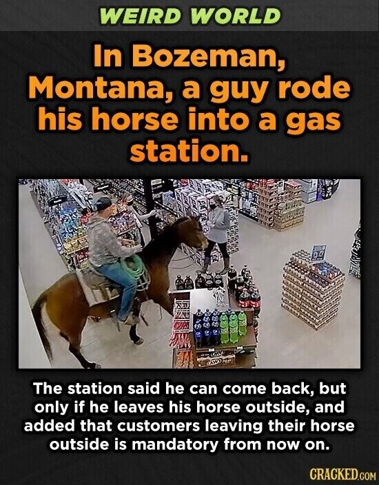 WEIRD WORLD In Bozeman, Montana, a guy rode his horse into a gas station. The station said he can come back, but only if he leaves his horse outside, and added that customers leaving their horse outside is mandatory from now on. CRACKED.COM