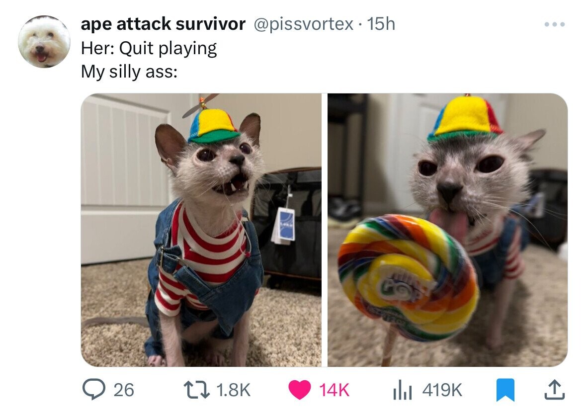 ape attack survivor @pissvortex 15h Her: Quit playing My silly ass: PO 26 1.8K 14K 419K