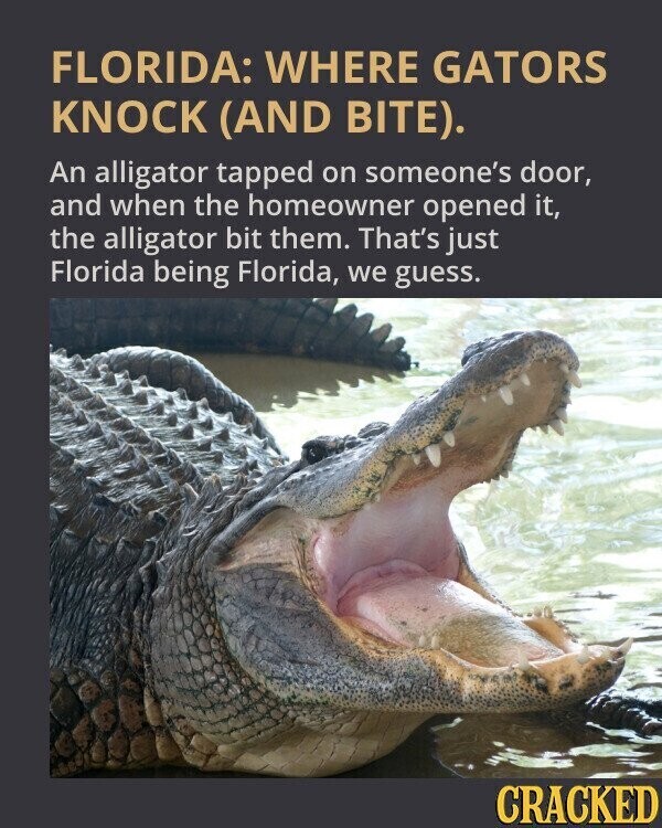 FLORIDA: WHERE GATORS KNOCK (AND BITE). An alligator tapped on someone's door, and when the homeowner opened it, the alligator bit them. That's just Florida being Florida, we guess. CRACKED