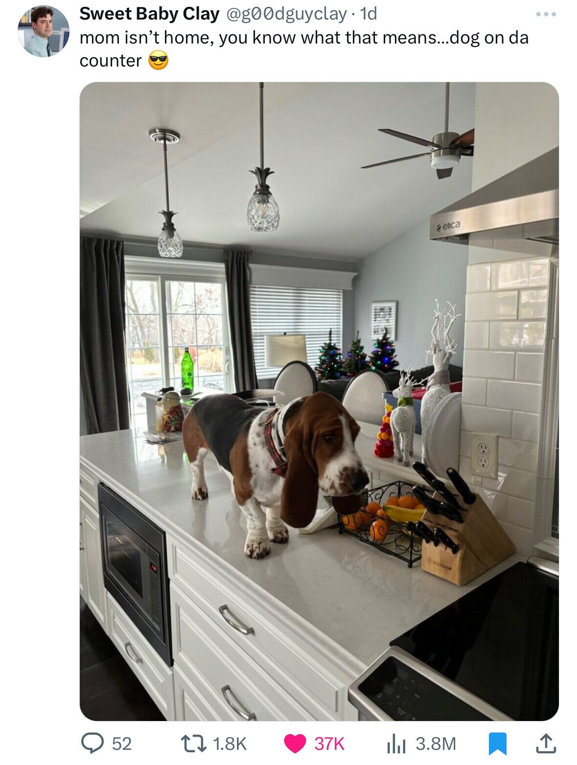 Sweet Baby Clay @g00dguyclay. 1d mom isn't home, you know what that means...dog on da counter a elica WUSTHOF 1.8K 3.8M 52 37K