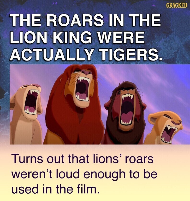 CRACKED THE ROARS IN THE LION KING WERE ACTUALLY TIGERS. Turns out that lions' roars weren't loud enough to be used in the film.