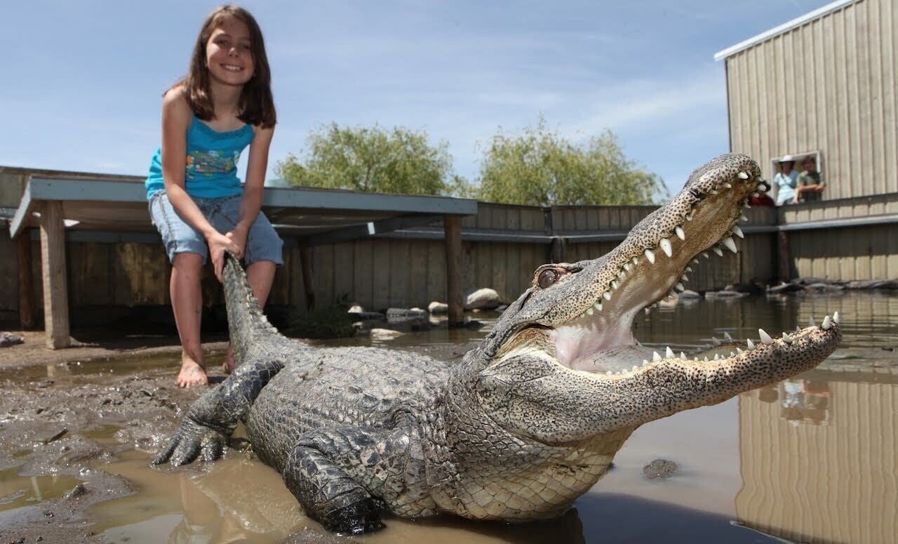Photos of Florida and Its People On Their Own Planet