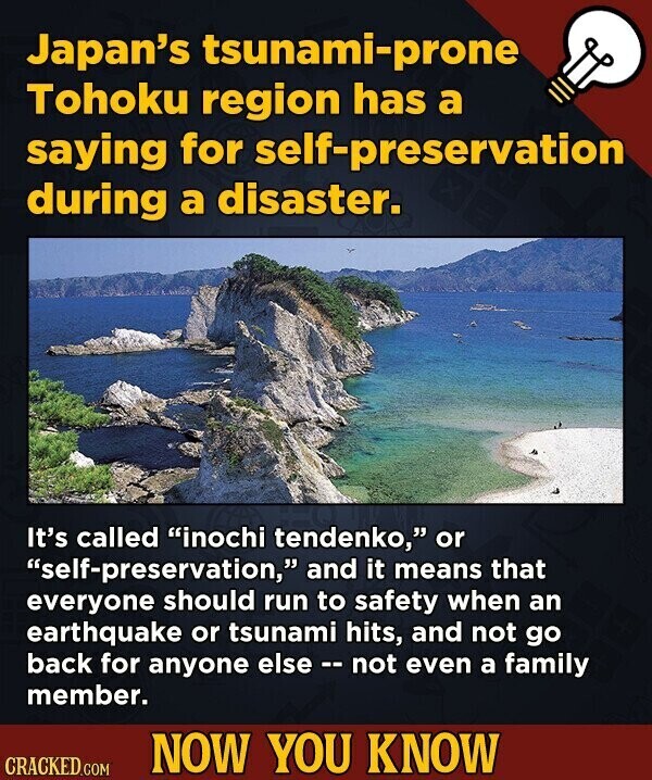 Japan's tsunami-prone Tohoku region has a saying for self-preservation during a disaster. It's called inochi tendenko, or self-preservation, and it means that everyone should run to safety when an earthquake or tsunami hits, and not go back for anyone else - not even a family member. NOW YOU KNOW CRACKED.COM