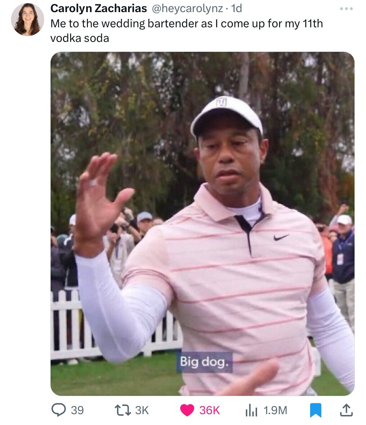 Carolyn Zacharias @heycarolynz.1 1d ... Me to the wedding bartender as I come up for my 11th vodka soda 14 Big dog. 39 3K 36K 1.9M