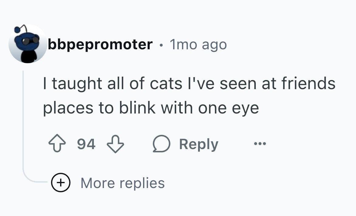 bbpepromoter . 1mo ago I taught all of cats I've seen at friends places to blink with one eye 94 Reply ... + More replies