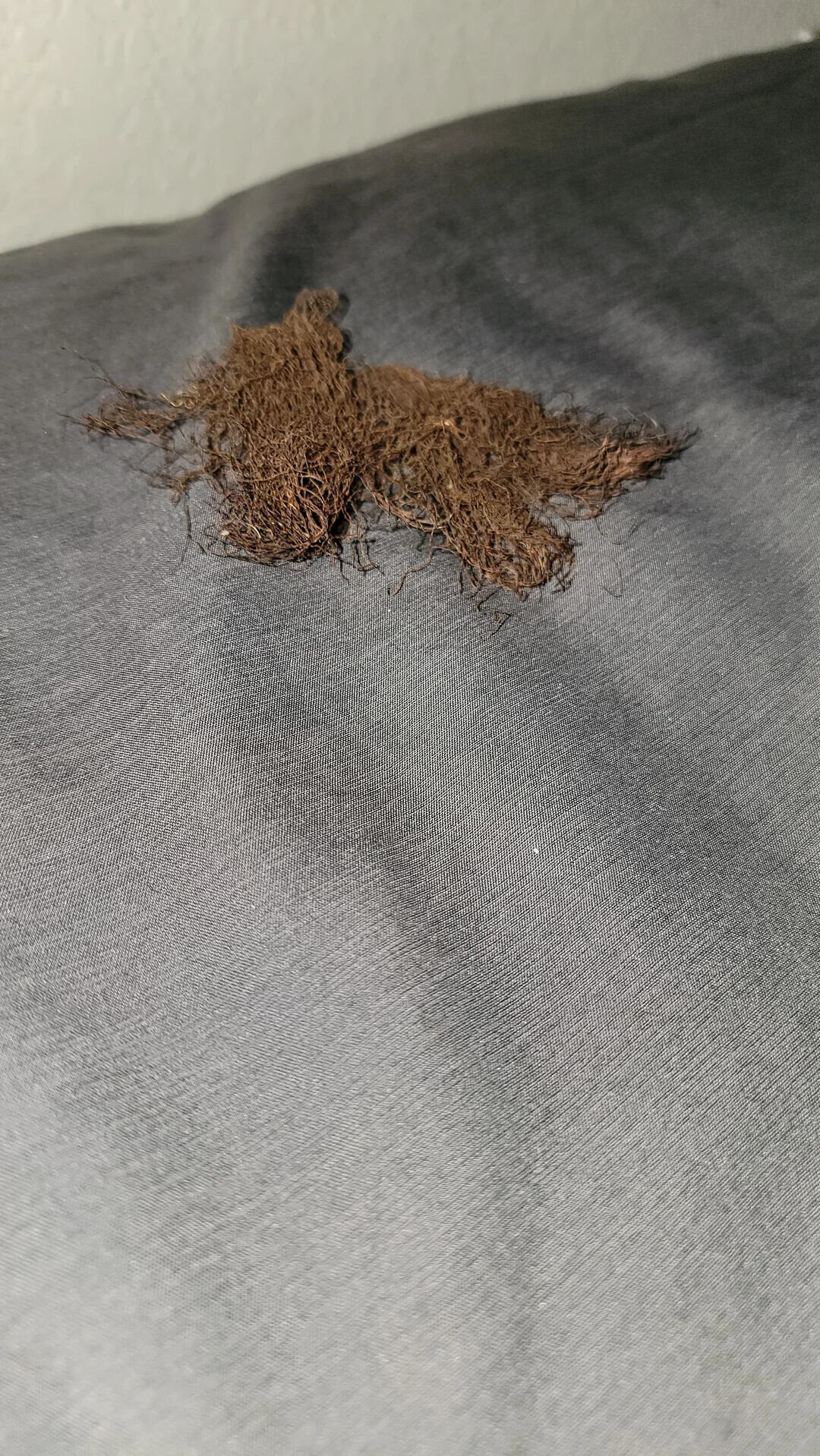 Uncomfortable Pics of Things We'd Rather Not Run Into