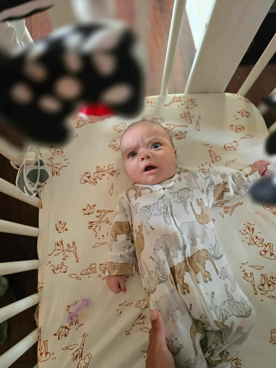 20 of This Week's Most Noteworthy Photos