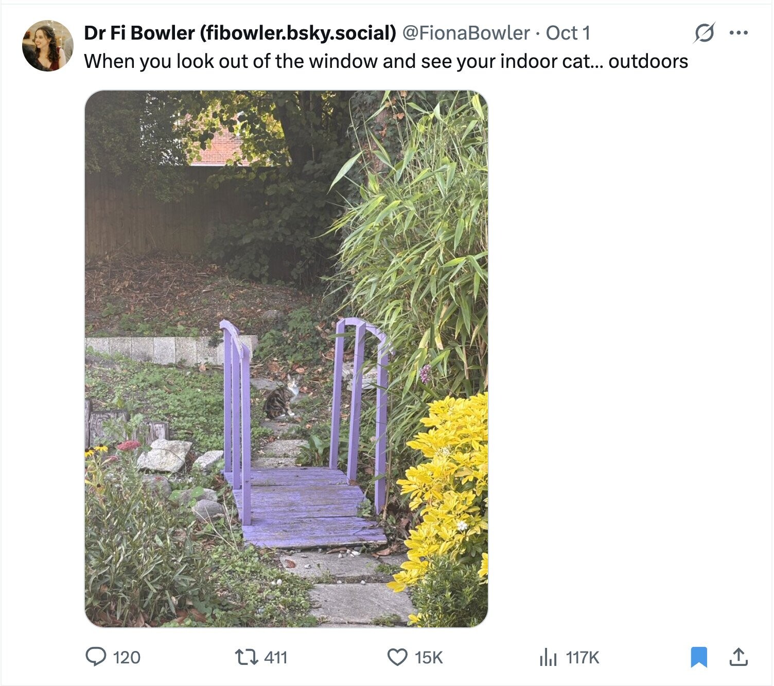 Dr Fi Bowler (fibowler.bsky.social) @FionaBowler Oct 1 s ... When you look out of the window and see your indoor cat... outdoors 411 15K 120 del 117K 