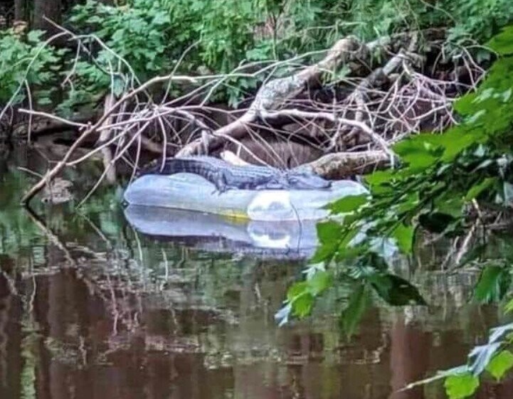 Photos of Florida and Its People On Their Own Planet