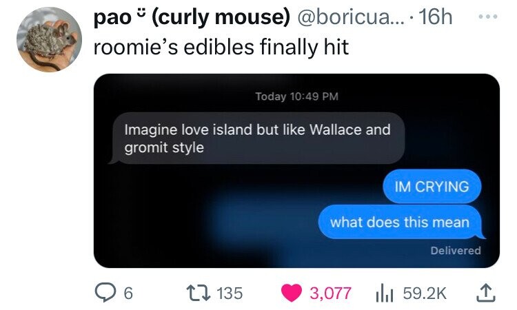 pao C (curly mouse) @boricua... 16h ... roomie's edibles finally hit Today 10:49 PM Imagine love island but like Wallace and gromit style IM CRYING what does this mean Delivered 6 135 3,077 59.2K