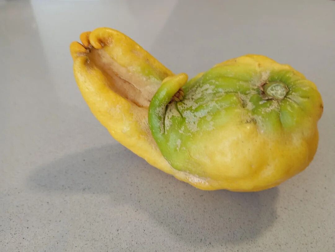 Uncomfortable Pics of Things We'd Rather Not Run Into