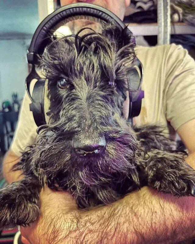 20 of This Week's Most Noteworthy Photos