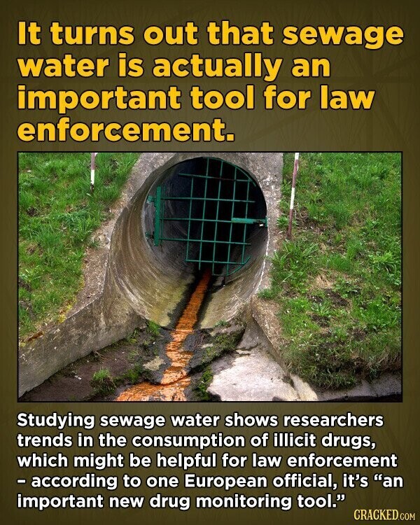 It turns out that sewage water is actually an important tool for law enforcement. Studying sewage water shows researchers trends in the consumption of illicit drugs, which might be helpful for law enforcement - according to one European official, it's an important new drug monitoring tool. CRACKED.COM
