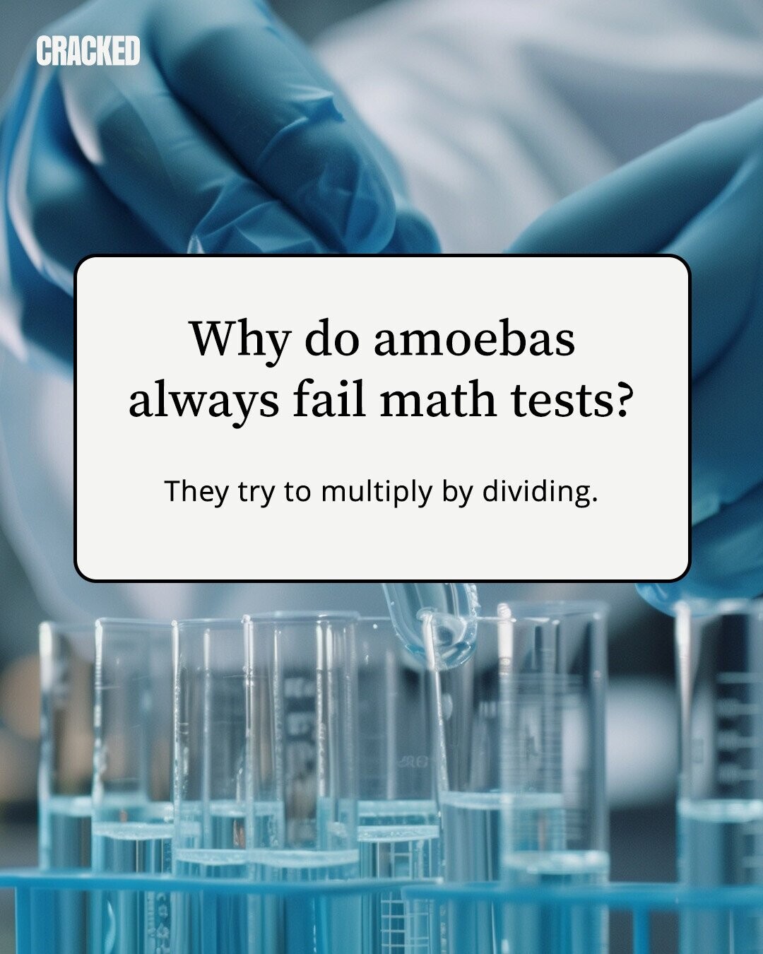 CRACKED Why do amoebas always fail math tests? They try to multiply by dividing. 