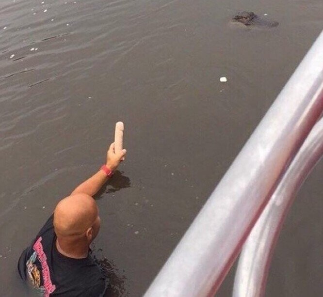 Photos of Florida and Its People On Their Own Planet