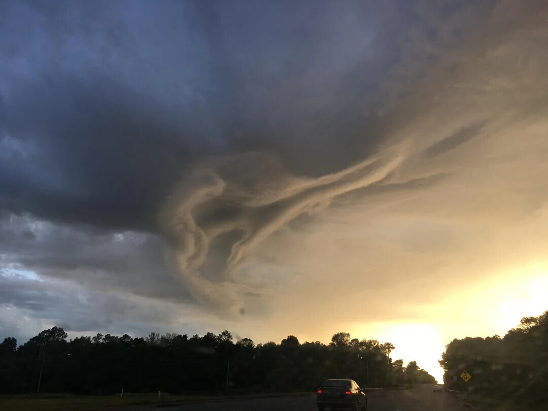 Uncomfortable Pics of Things We'd Rather Not Run Into