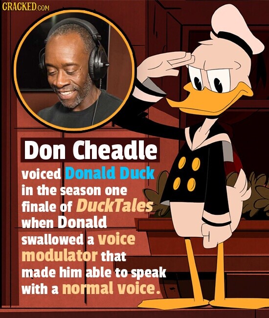 CRACKED.COM Don Cheadle voiced Donald Duck in the season one finale of DuckTales when Donald swallowed a voice modulator that made him able to speak with a normal voice.