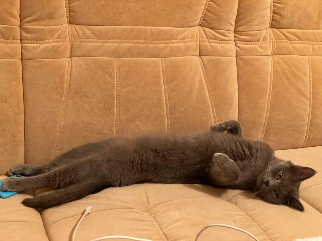 20 of This Week's Most Noteworthy Photos