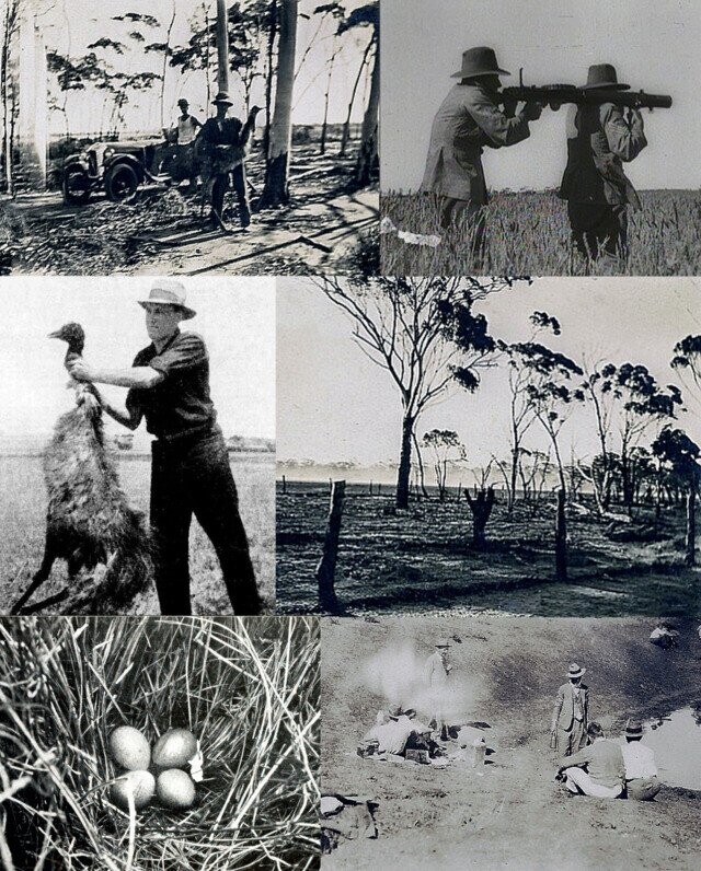 20 Photos Of Times History Didn’t Go These People’s Way
