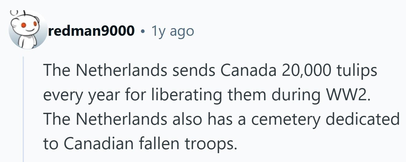 redman9000 . 1y ago The Netherlands sends Canada 20,000 tulips every year for liberating them during WW2. The Netherlands also has a cemetery dedicated to Canadian fallen troops. 