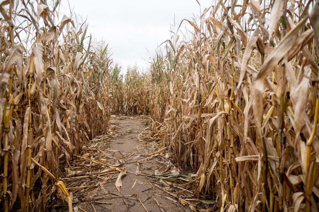 Stories From Route 66 That Boomers Love To Tell