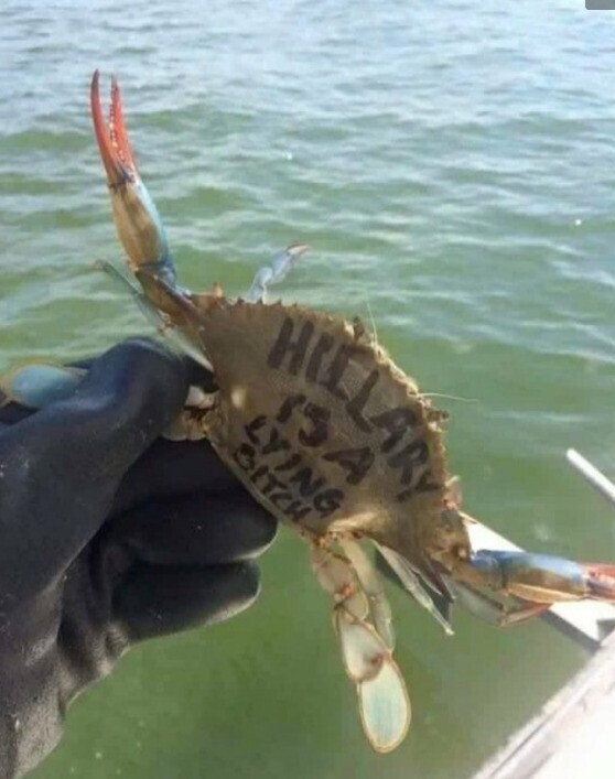 Photos of Florida and Its People On Their Own Planet