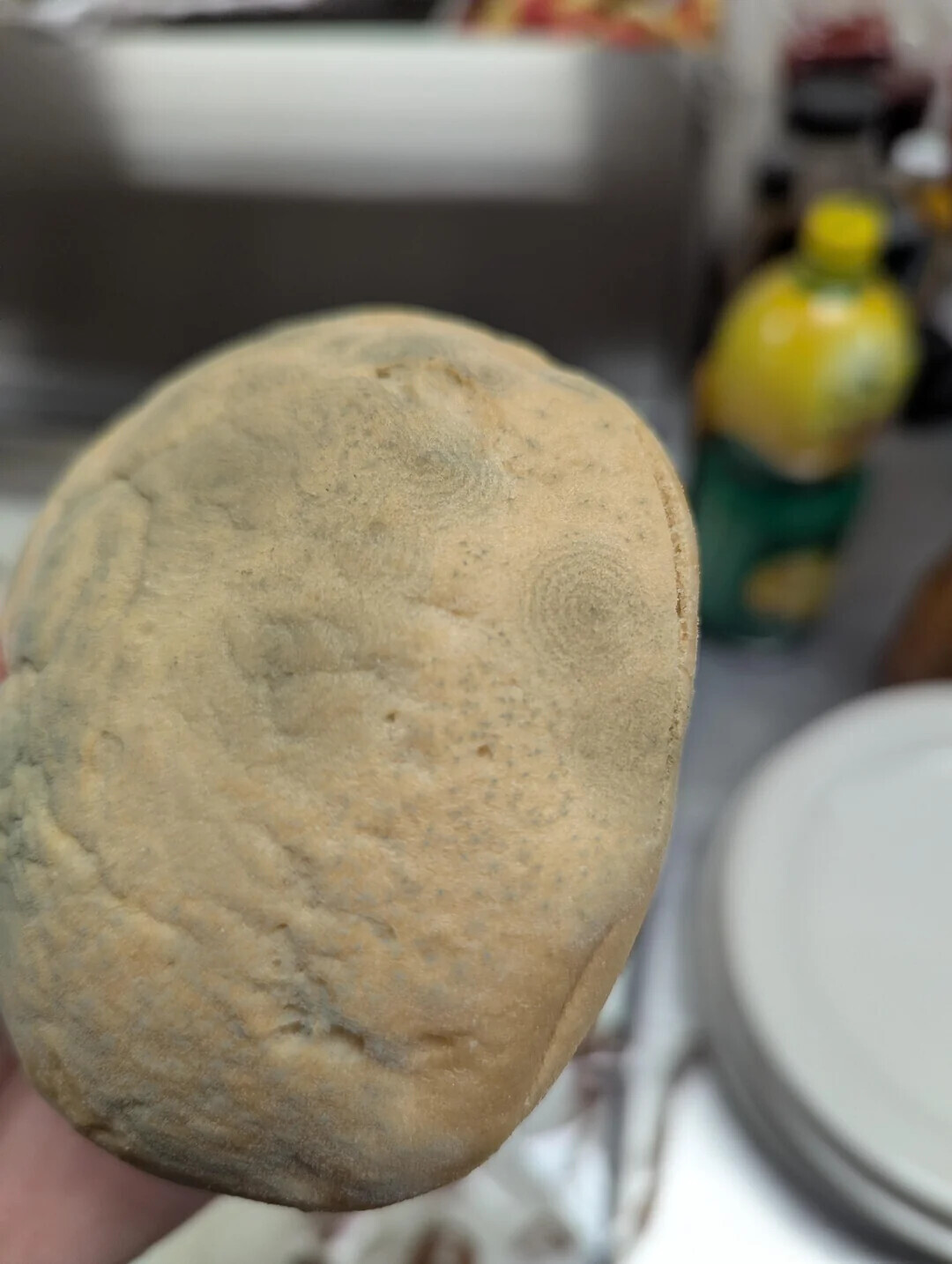 Uncomfortable Pics of Things We'd Rather Not Run Into