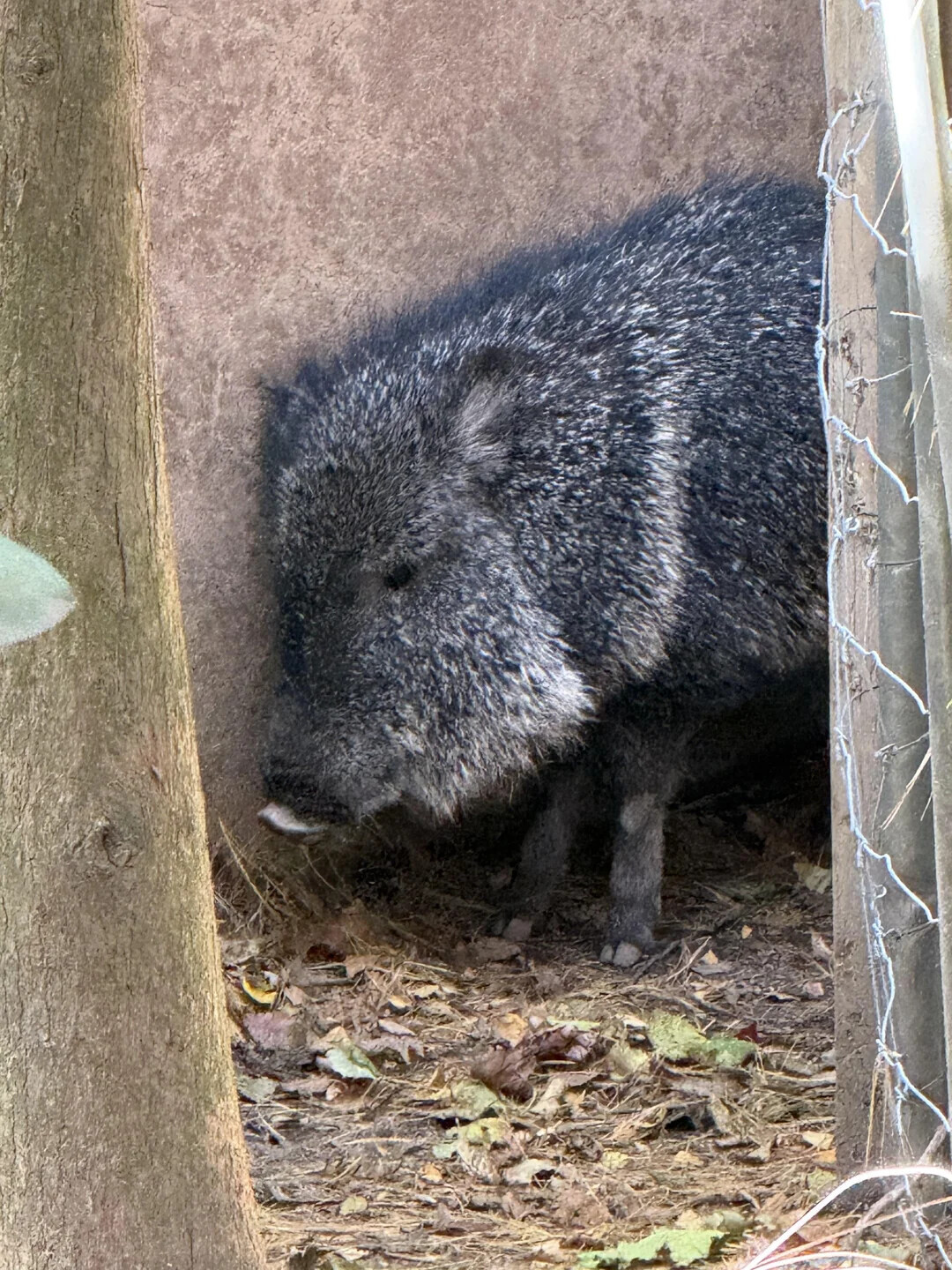 20 of This Week's Most Noteworthy Photos