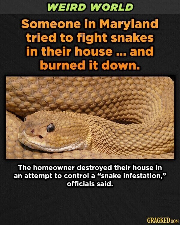 WEIRD WORLD Someone in Maryland tried to fight snakes in their house... ... and burned it down. The homeowner destroyed their house in an attempt to control a snake infestation, officials said. CRACKED.COM