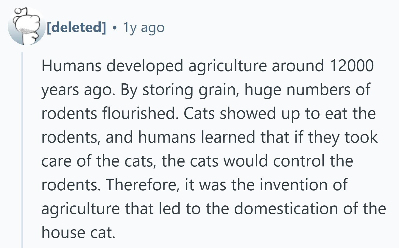  1y ago Humans developed agriculture around 12000 years ago. By storing grain, huge numbers of rodents flourished. Cats showed up to eat the rodents, and humans learned that if they took care of the cats, the cats would control the rodents. Therefore, it was the invention of agriculture that led to the domestication of the house cat. 