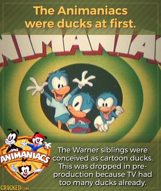 The Animaniacs were ducks at first. The Warner siblings were ANIMANIACS conceived as cartoon ducks. This was dropped in pre- production because TV had too many ducks already. CRACKED.COM