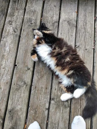 20 of This Week's Most Noteworthy Photos