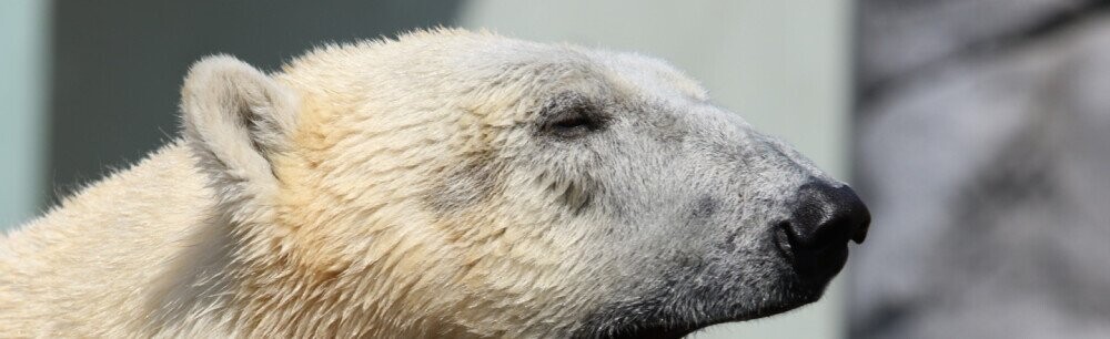 13 Interesting Facts To Make Your Soul-Crushing Job That Much More Bearable