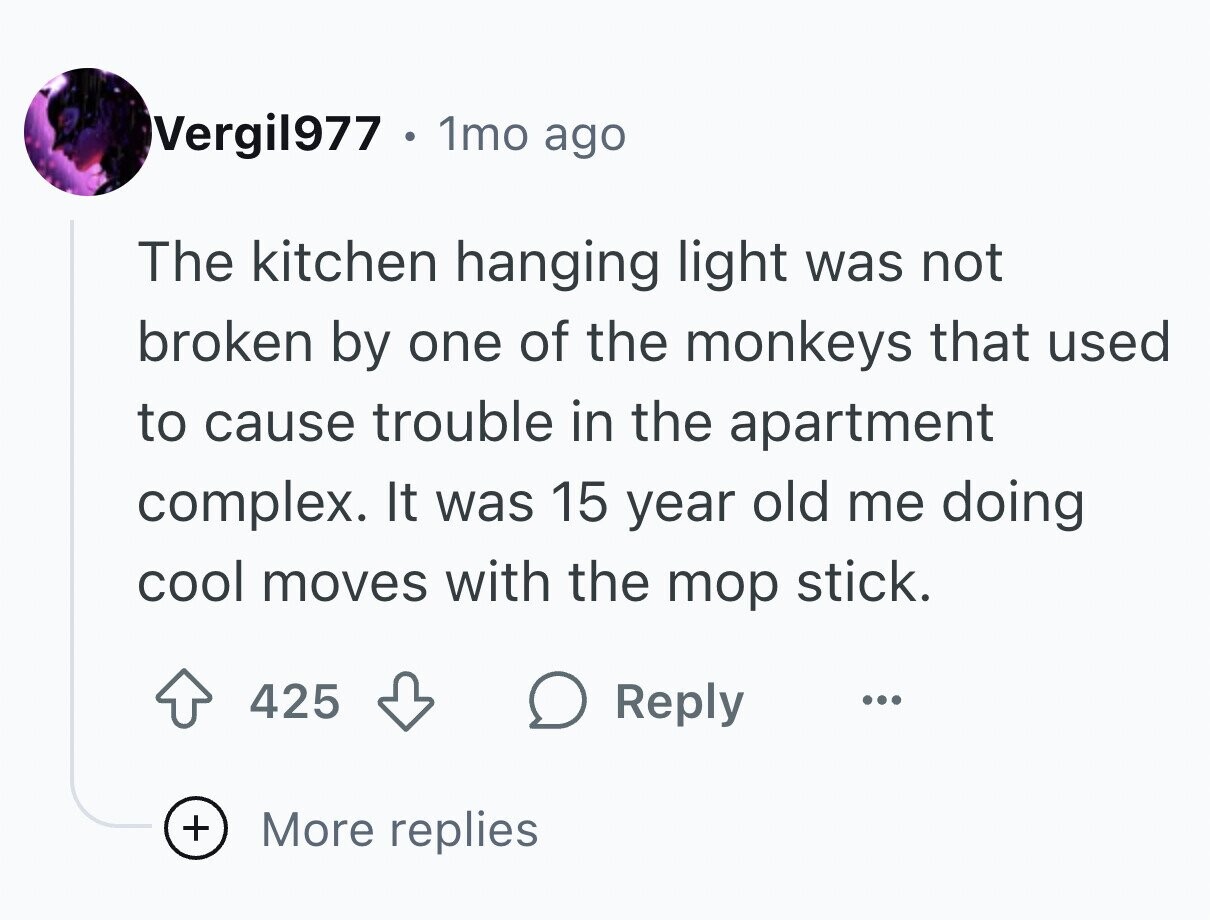 Vergil977 . 1mo ago The kitchen hanging light was not broken by one of the monkeys that used to cause trouble in the apartment complex. It was 15 year old me doing cool moves with the mop stick. 425 Reply ... + More replies