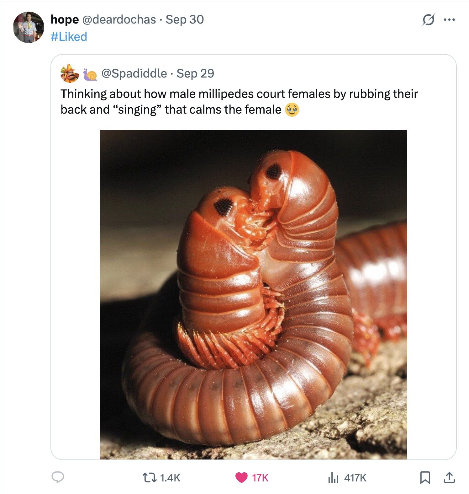 hope @deardochas . Sep 30 S ... #Liked @Spadiddle. Sep 29 Thinking about how male millipedes court females by rubbing their back and singing that calms the female 1.4K 17K del 417K 
