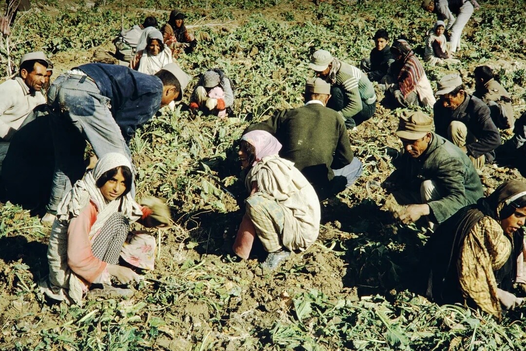 Real Historical Photos That Appear to Be from Fiction