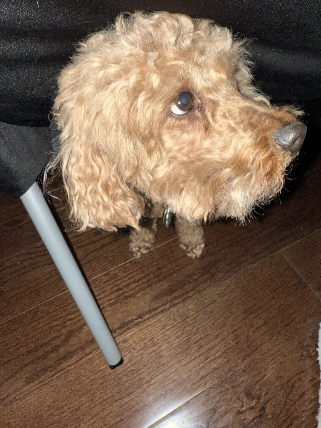 20 Photos Where Things Aren't What They Seem at First