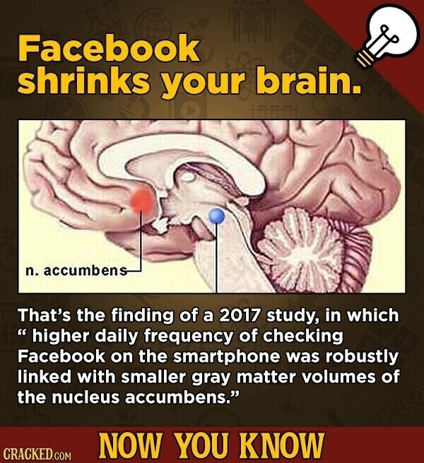 Facebook shrinks your brain. n. accumbens That's the finding of a 2017 study, in which higher daily frequency of checking Facebook on the smartphone was robustly linked with smaller gray matter volumes of the nucleus accumbens. NOW YOU KNOW CRACKED.COM