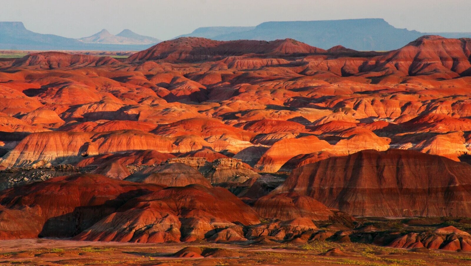 Stories From Route 66 That Boomers Love To Tell