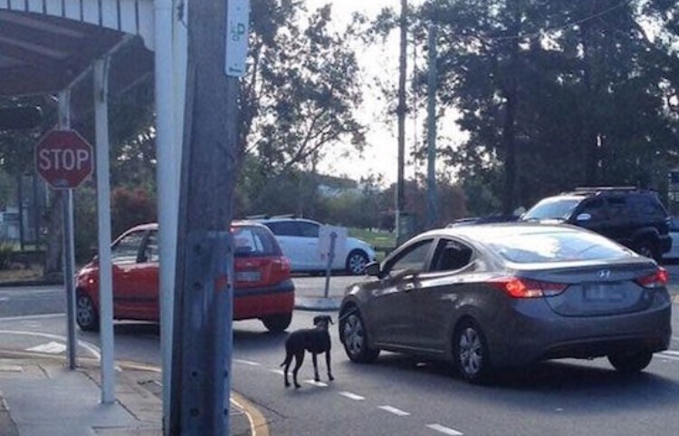 More Things People Know Are Stupid & Do Anyway