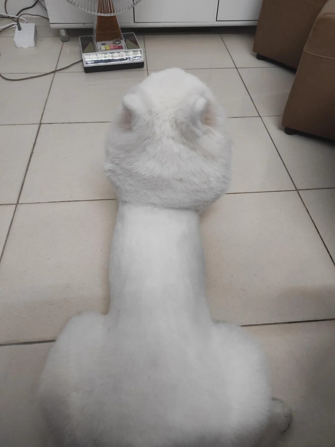 20 Photos Where Things Aren't What They Seem at First