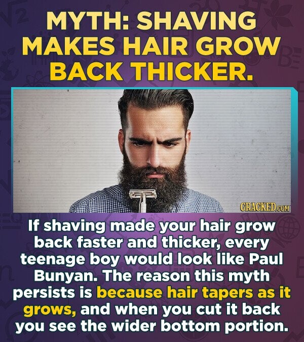 2 MYTH: SHAVING MAKES HAIR GROW BACK THICKER. CRACKED.COM If shaving made your hair grow back faster and thicker, every teenage boy would look like Paul Bunyan. The reason this myth persists is because hair tapers as it grows, and when you cut it back you see the wider bottom portion.